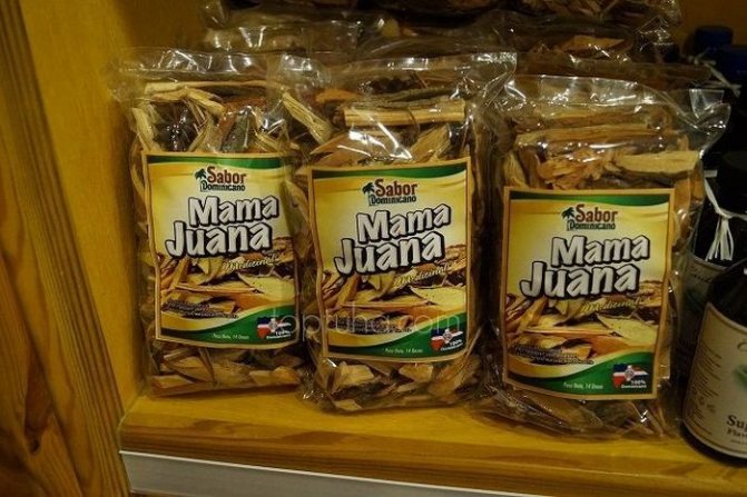 полезные свойства мамахуаны